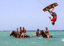 Seahorse-Bay
