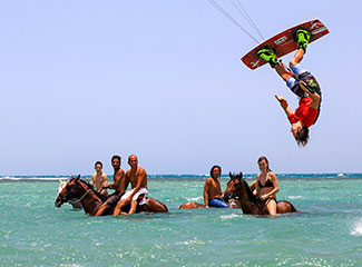 Seahorse-Bay