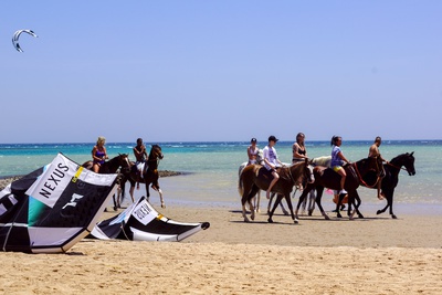 KiteWorldWide Kitesurgen Ägypten Pferde reiten